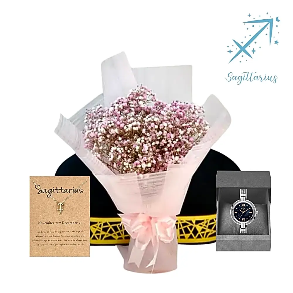 Sagittarius zodiac sign package.