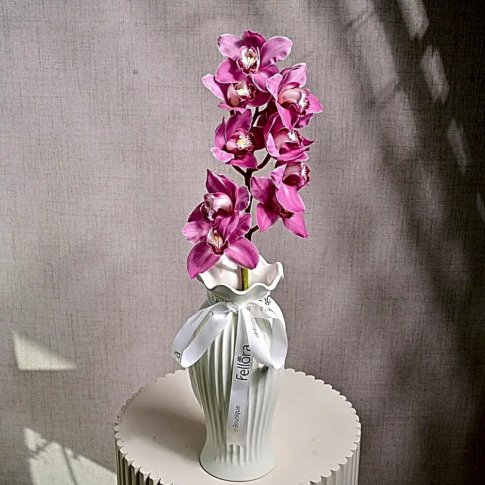 1 Pink Cymbidium Orchid in Ceramic Vase 6626