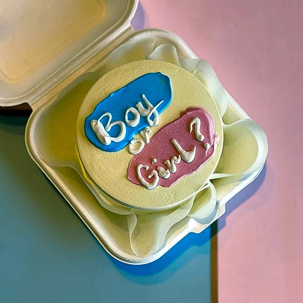 Bento Cake 48