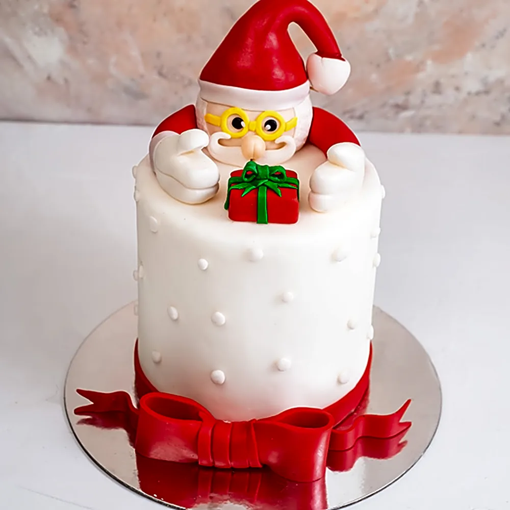 Santa Cake byNJD