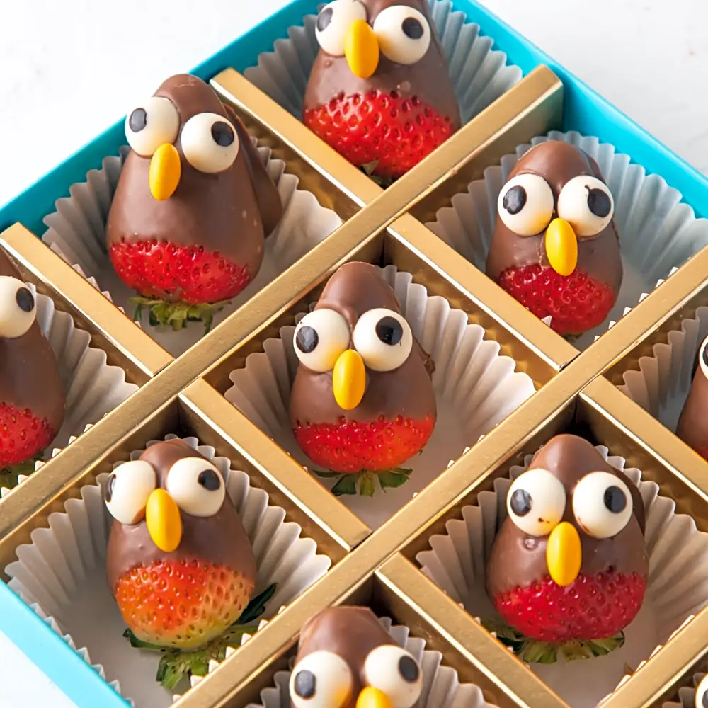 Chocolate Strawberry Penguins