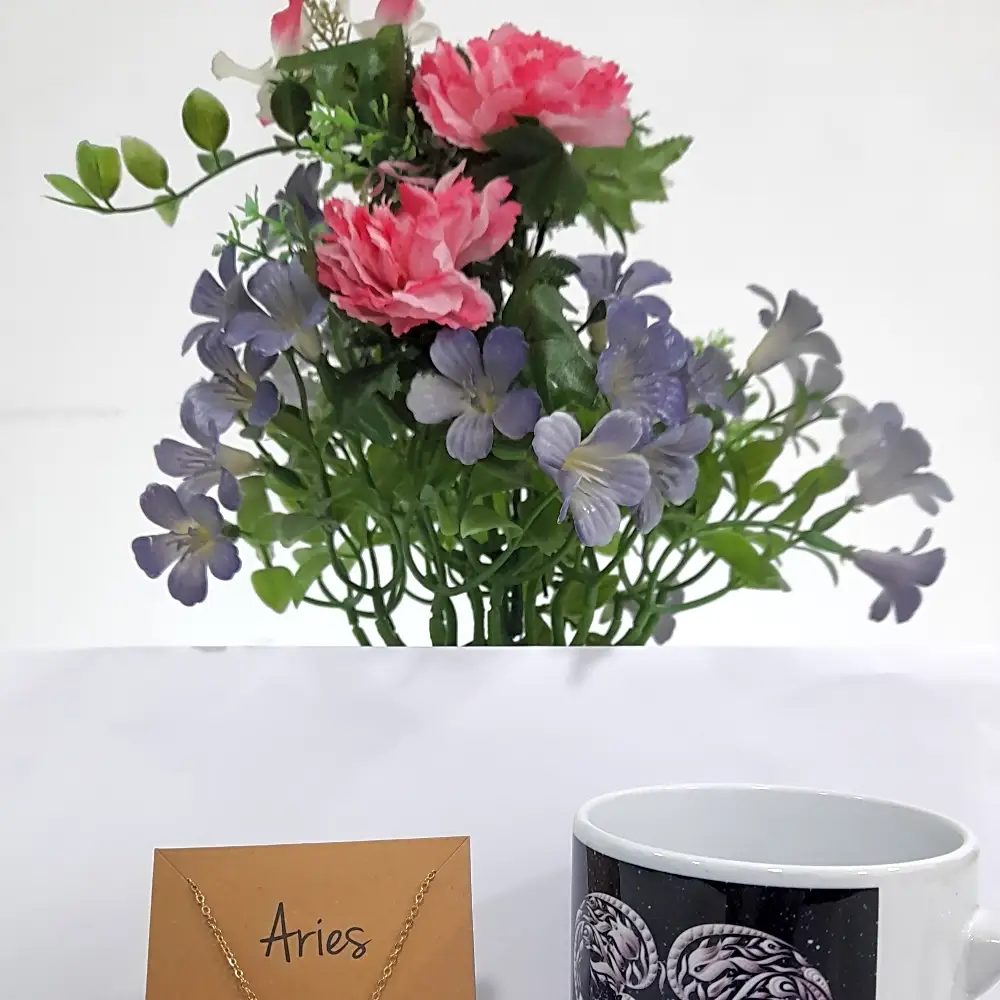 Horoscope Combo Aries