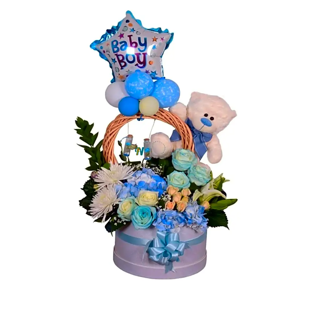 Nigwa New Born Gift 6