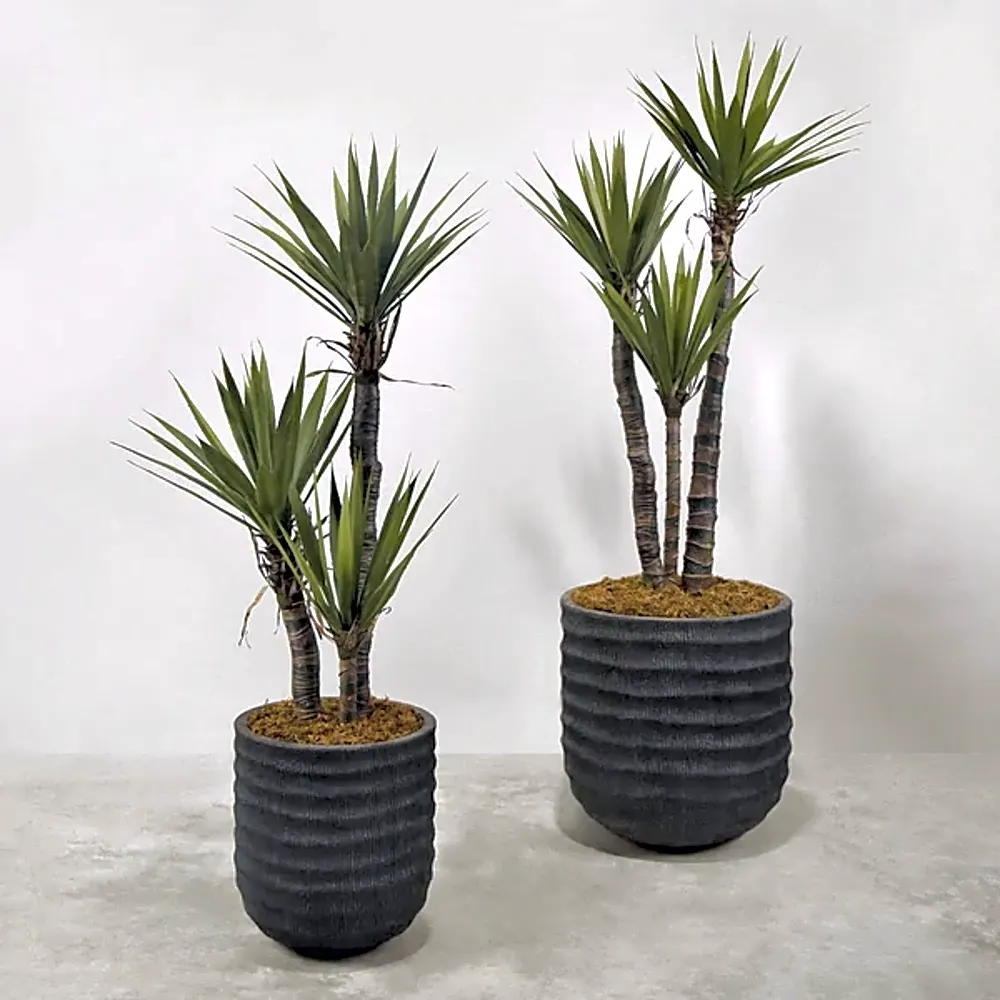 Artificial Yucca Plant