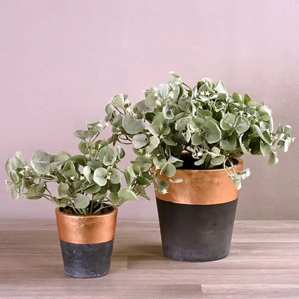 Artificial Dichondra Plant