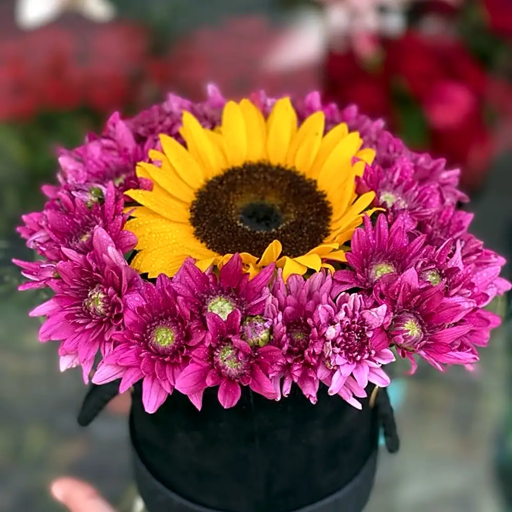 black box of sunflower&cherry