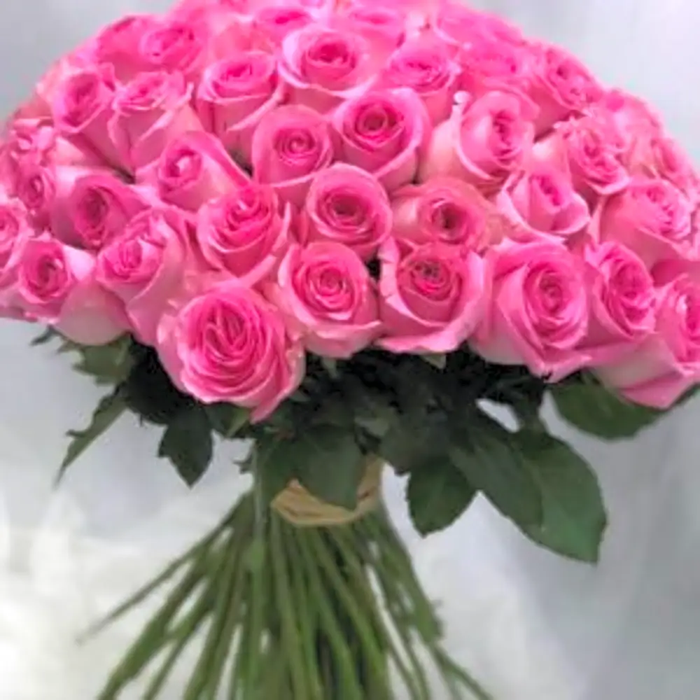 WOMEN’S DAY SPECIAL #5 N