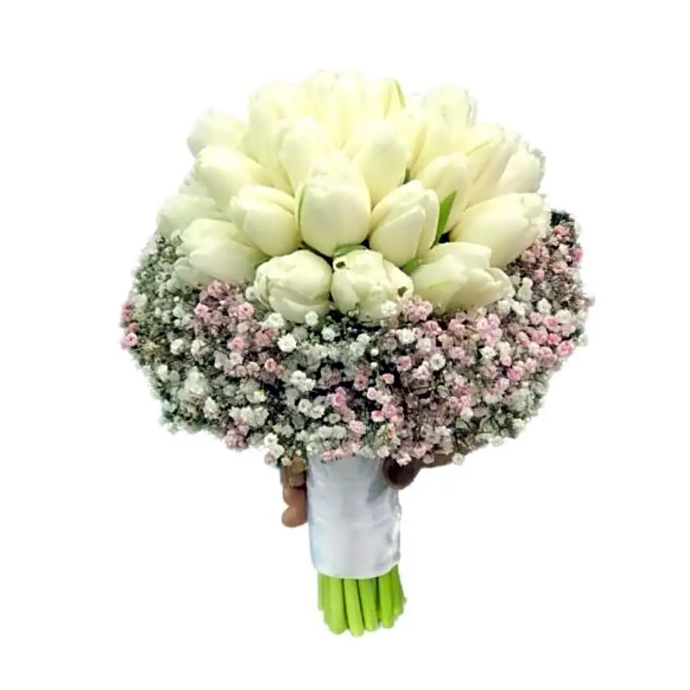 White tulip with mix color of gypsophila N