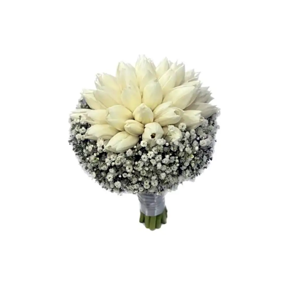 White tulip with white gypsophila N