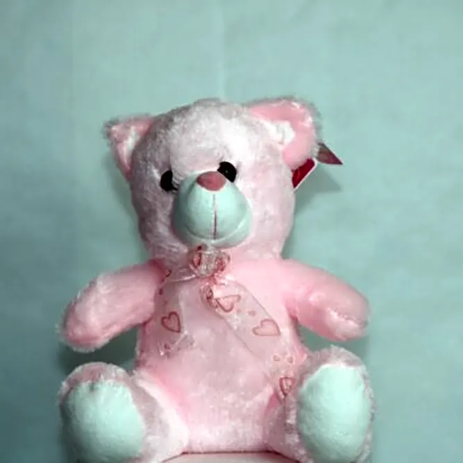 Teddy Bear pink Light N