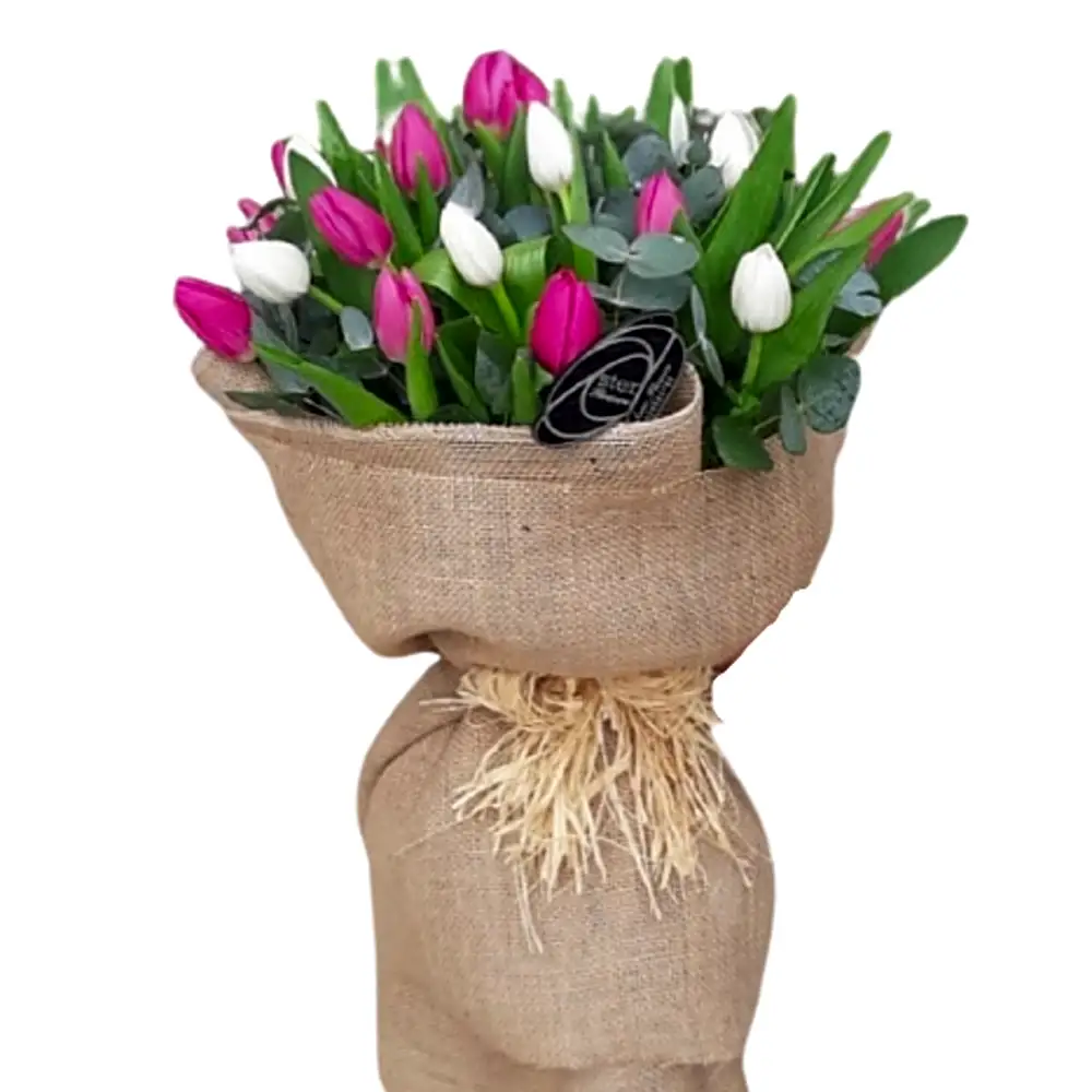 TULIPS MIX BOUQUET