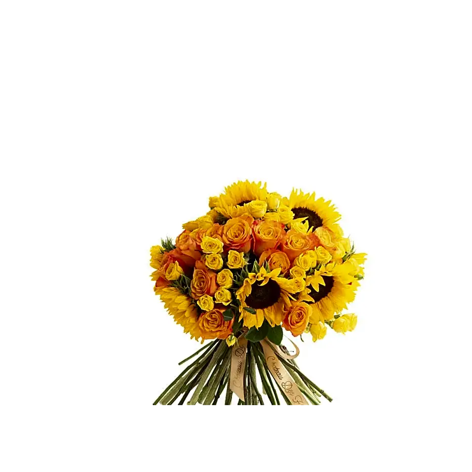 Open bouquet flowing sun.