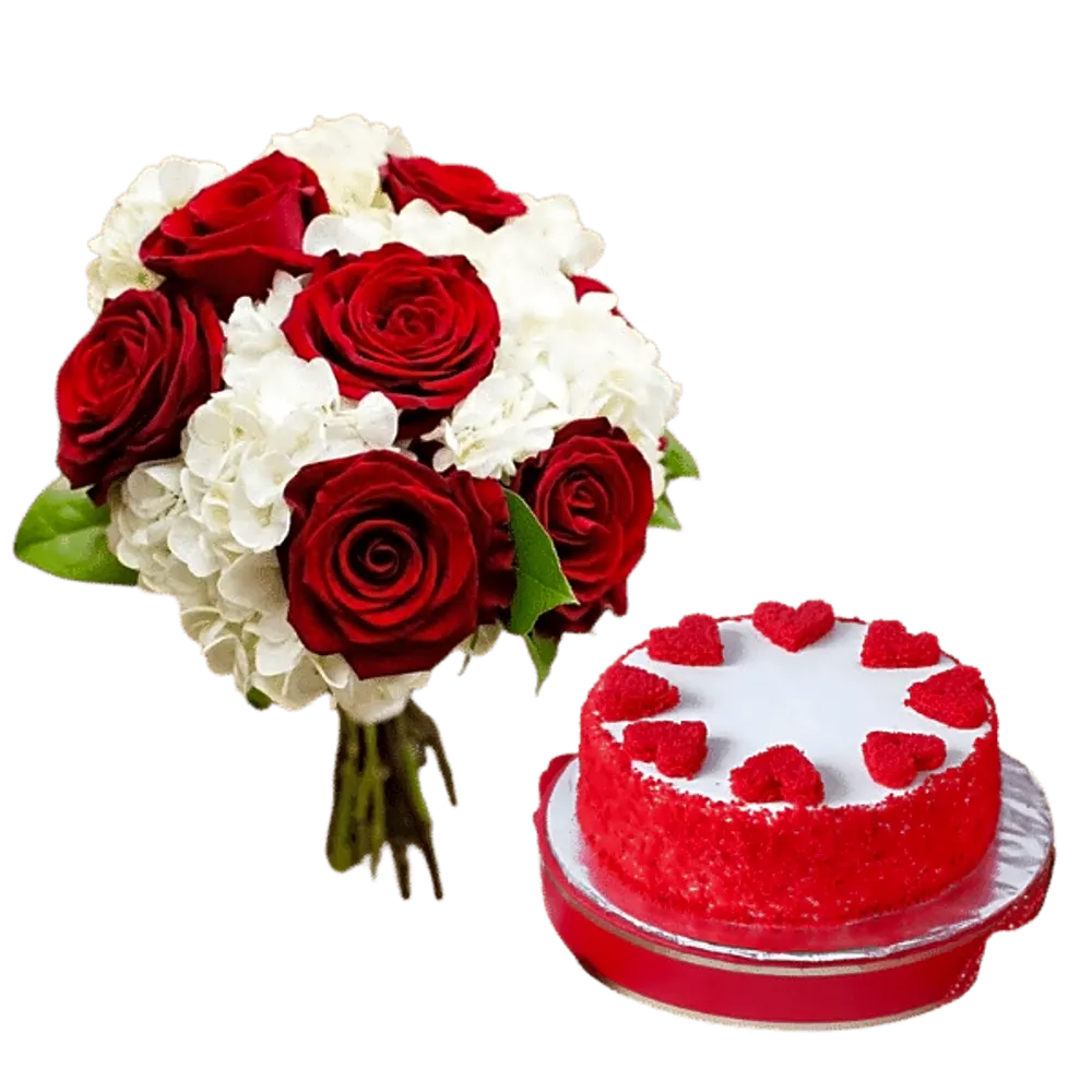 Aries horoscope bundle