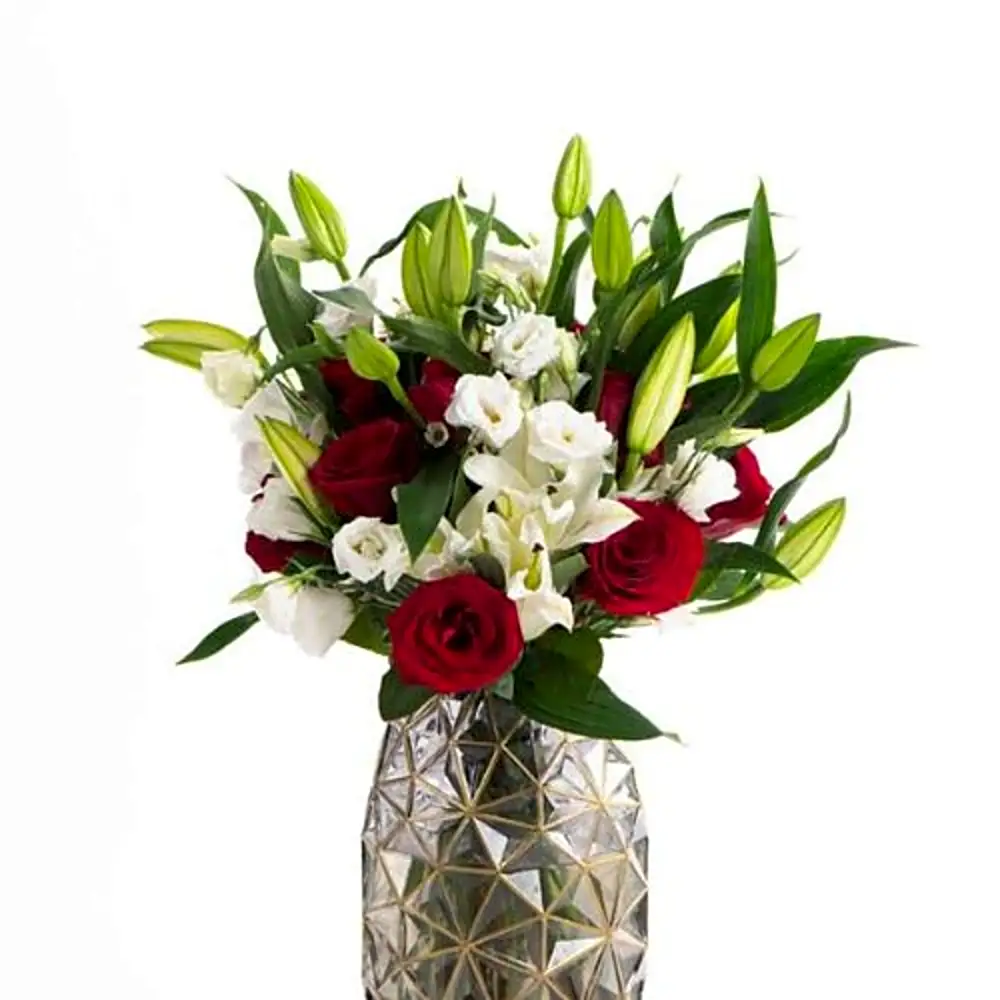 Organic Vase Red