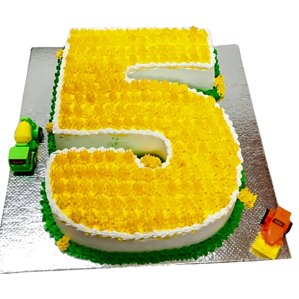 Number 5 Shaped Cake