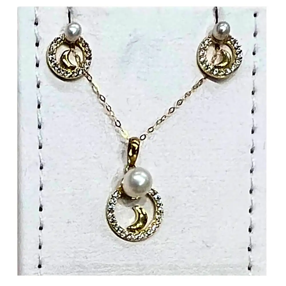 Chain with an oval pendant containing a crescent moon 1