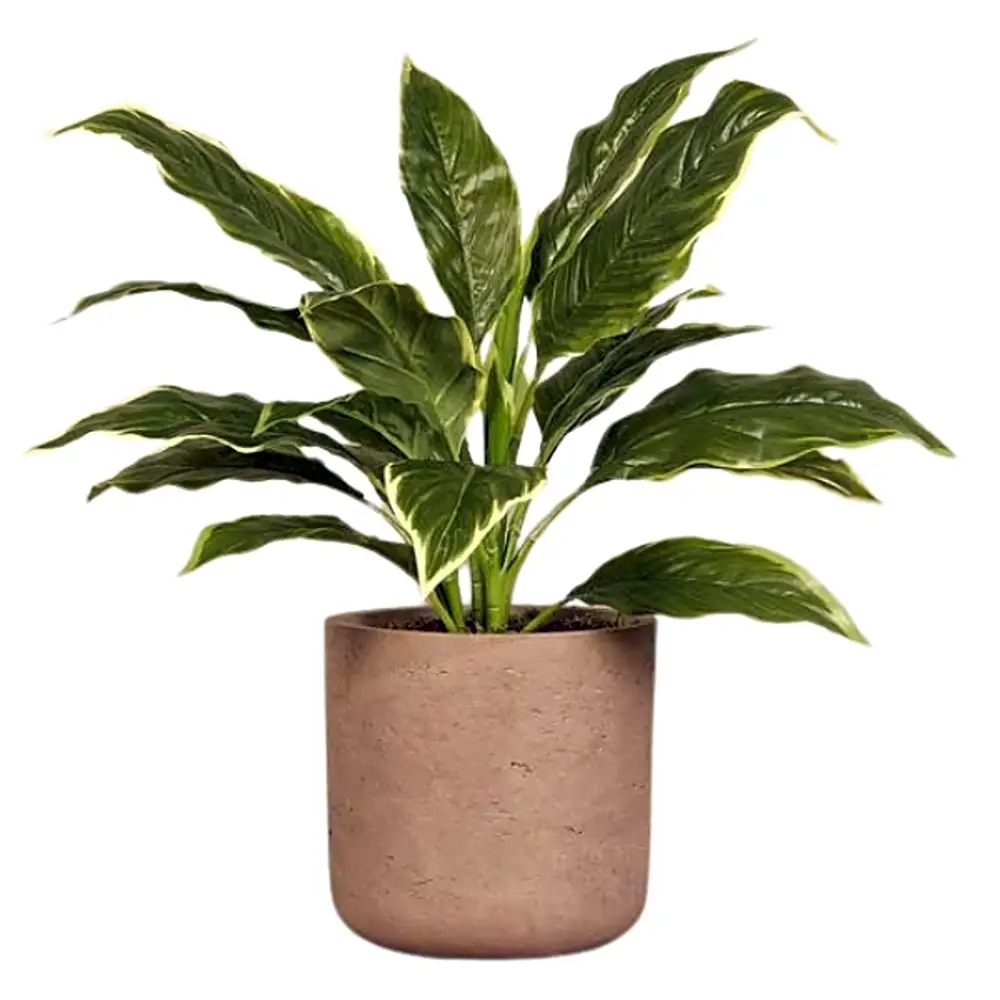 Artificial Hosta Plant.