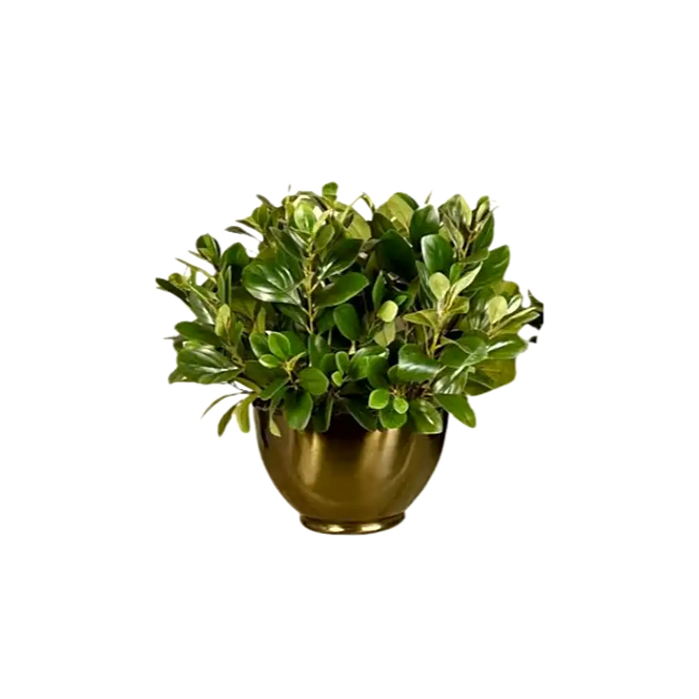 Artificial Watercress Plant.