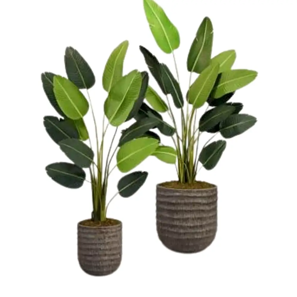 Artificial Strelitzia Plant.