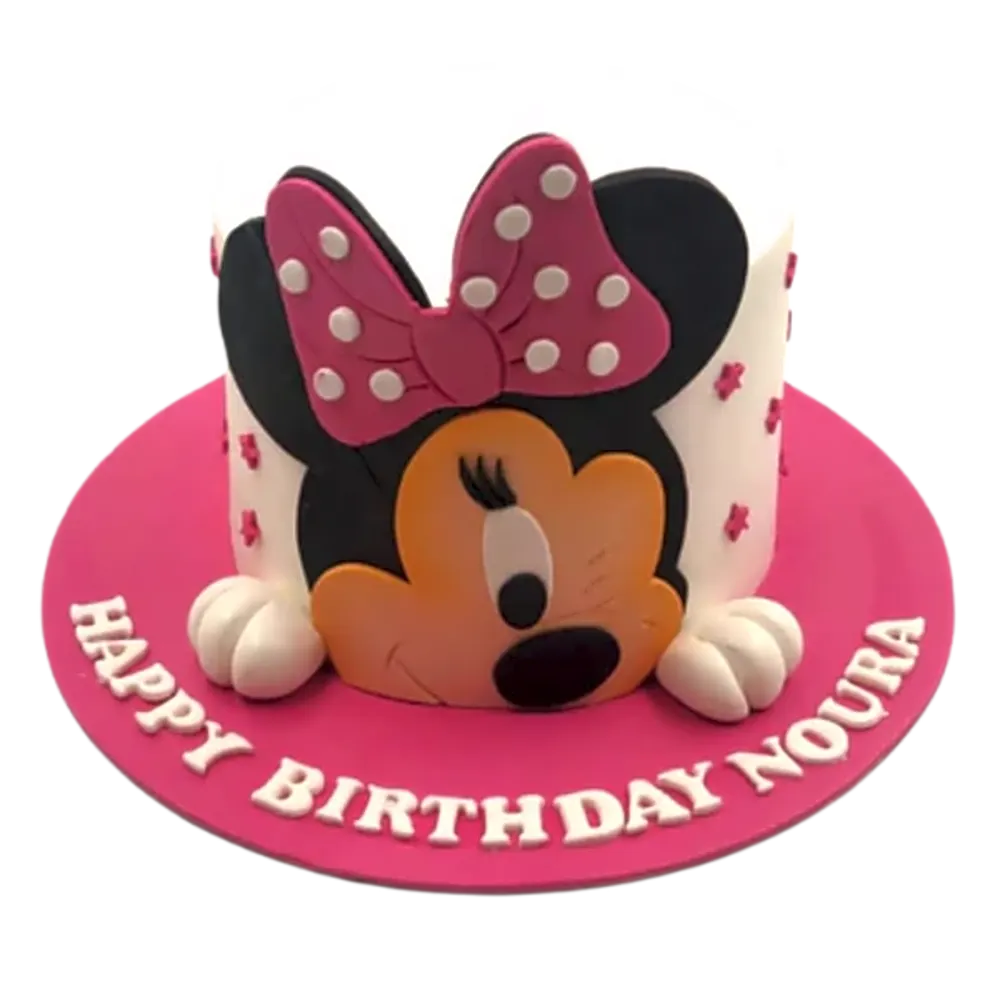 Minnie 2D Cake