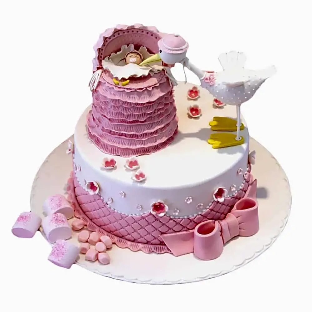 Bird Baby Shower Cake