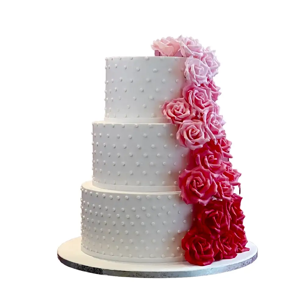 Pink Rose Ombre Cake