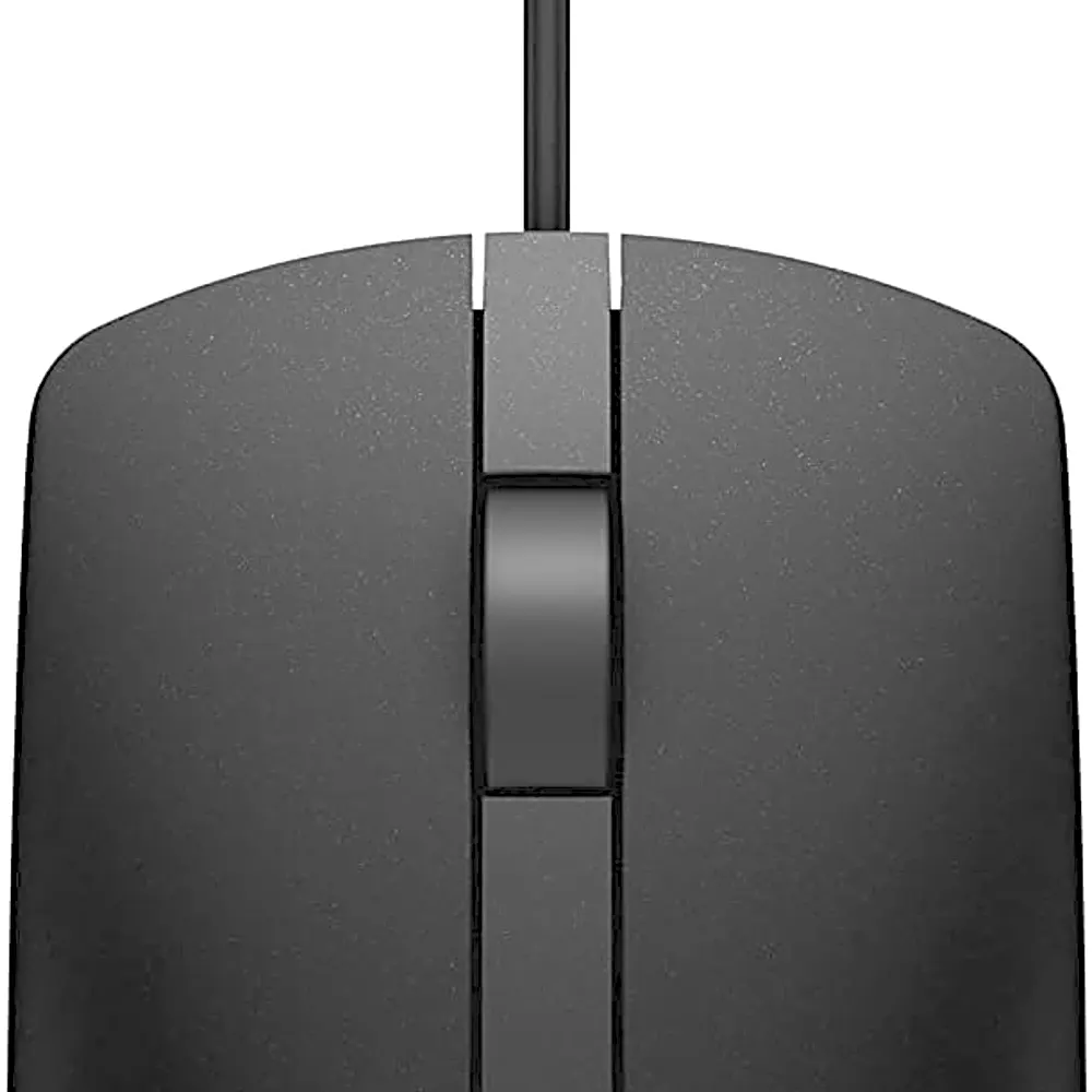 Computer mouse6