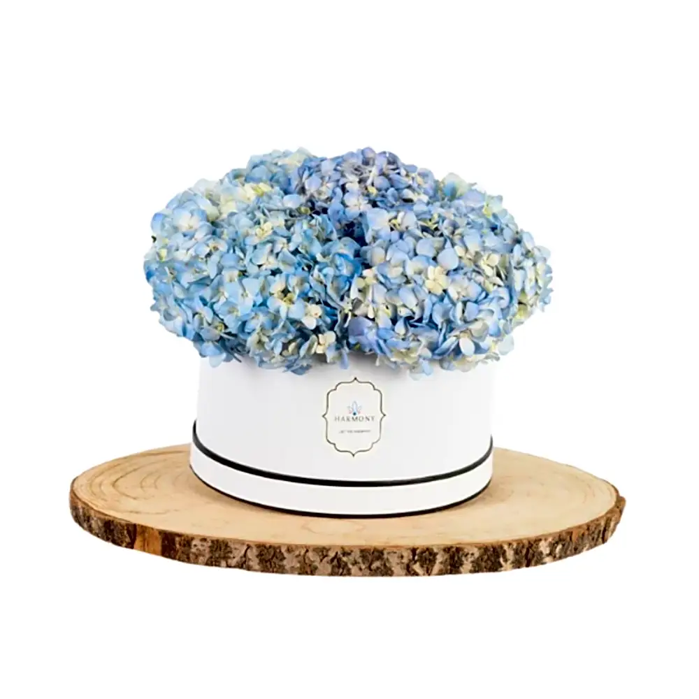 Petite Hydrangea Box