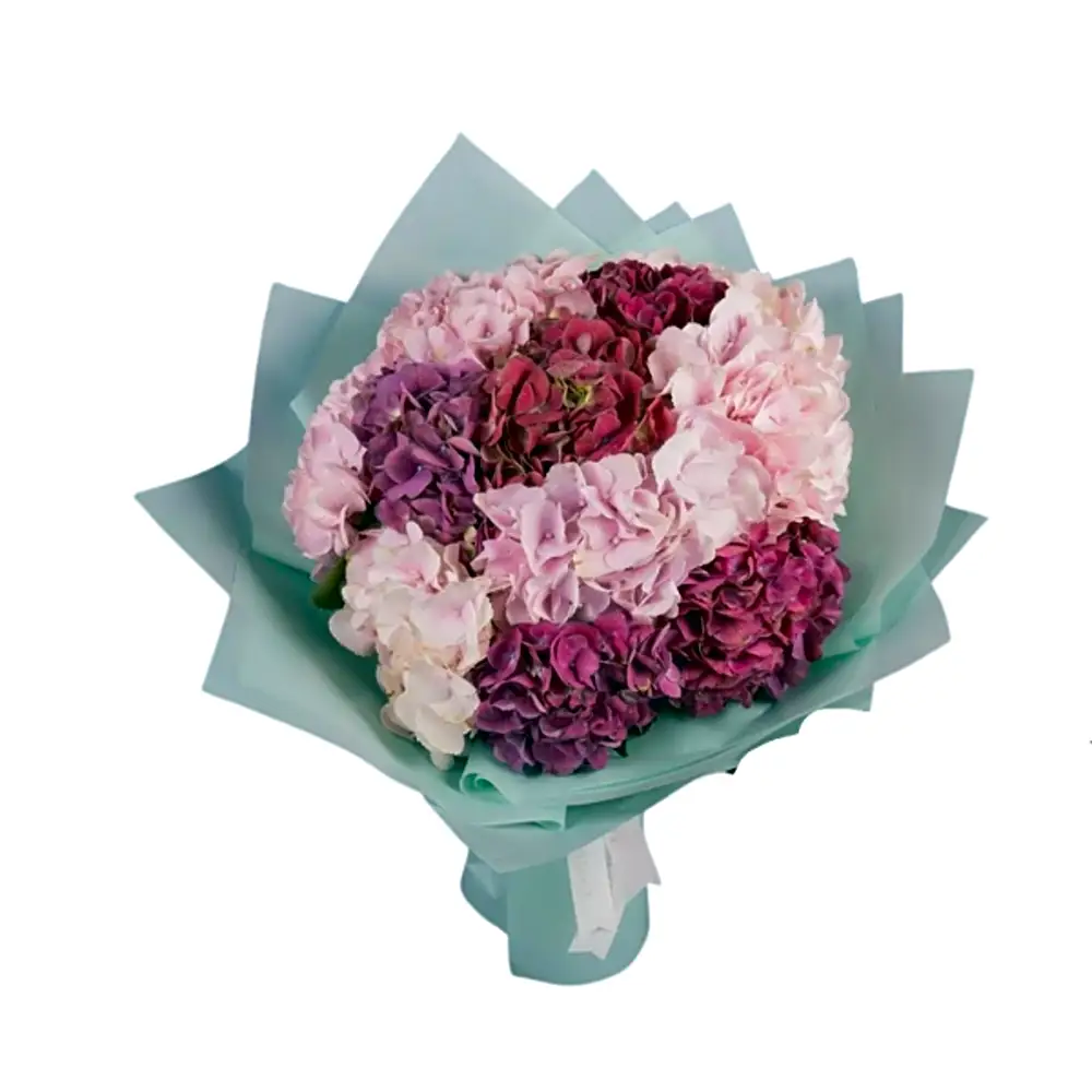 Hydrangea Happiness Bouquet