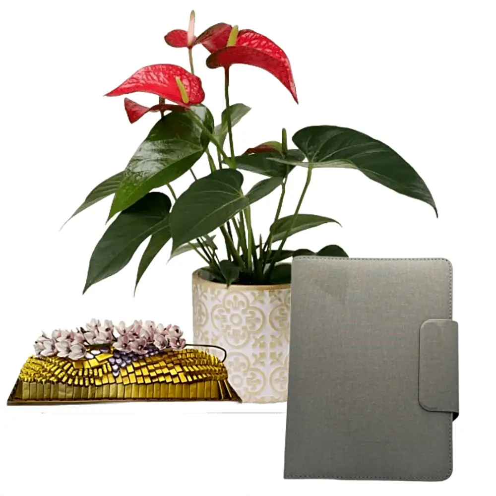 special Corporate Gifts 17