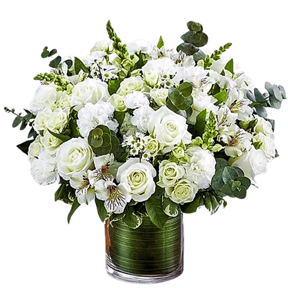 National Day package8