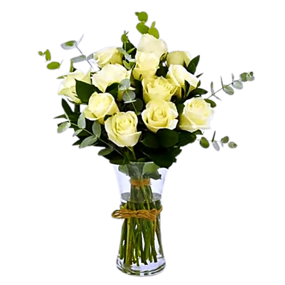 National Day package6