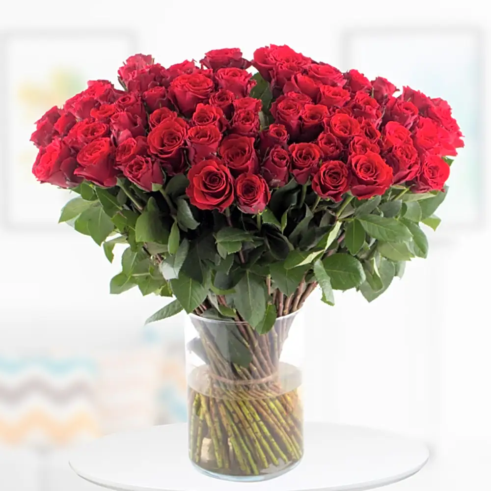 100 Roses - Upperclass (50cm)