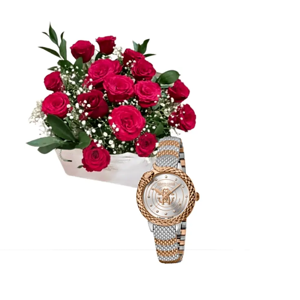 Luxury watch gifts 4