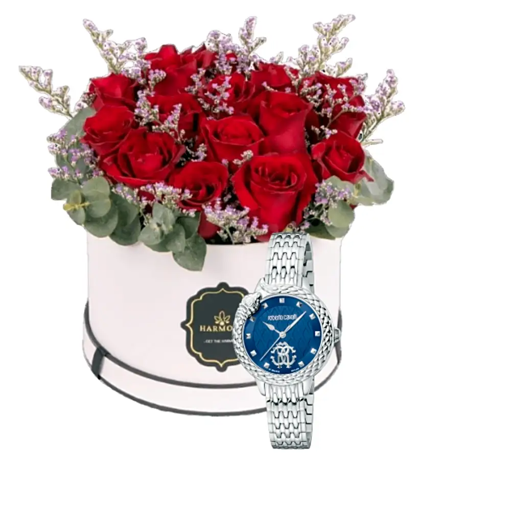 Luxury watch gifts 6