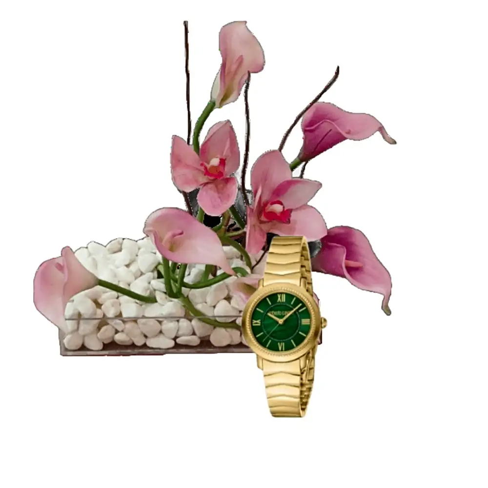 Luxury watch gifts 7