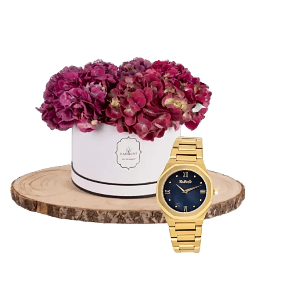 Luxury watch gifts 10