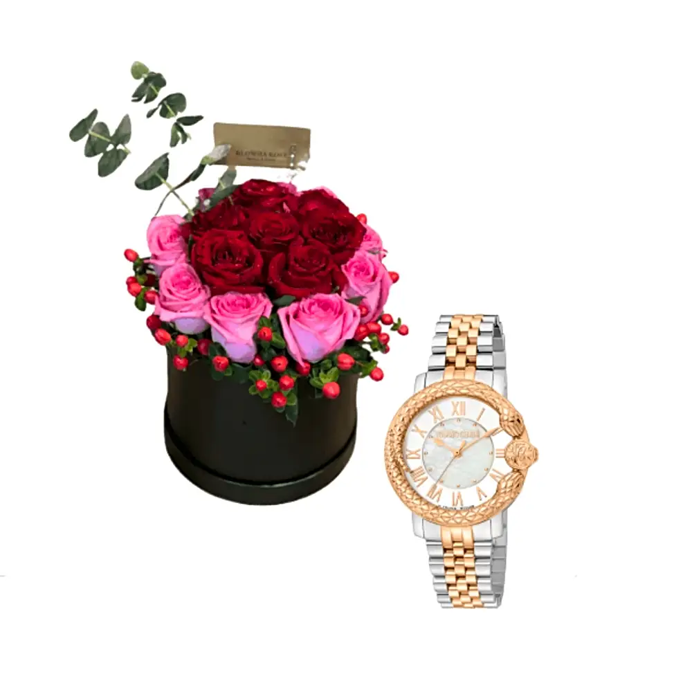 Luxury watch gifts 20