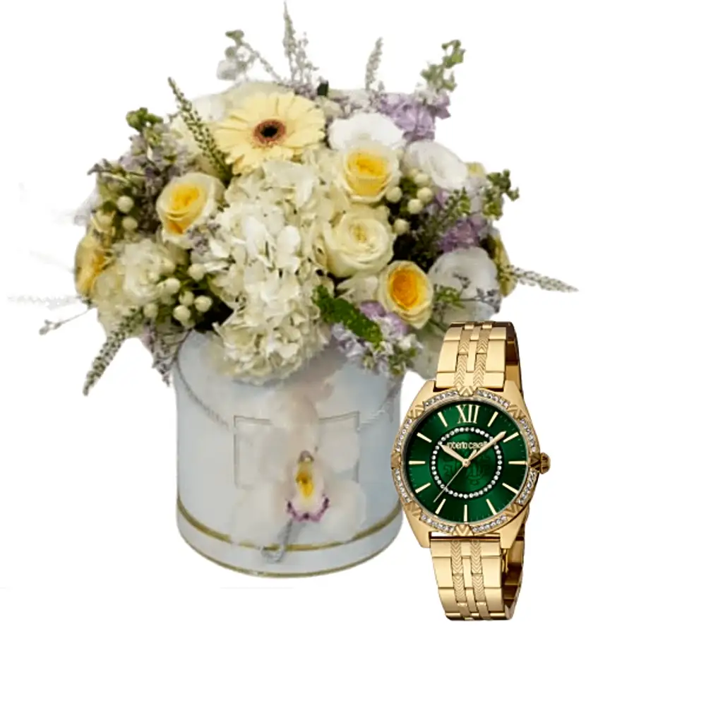 Luxury watch gifts 22