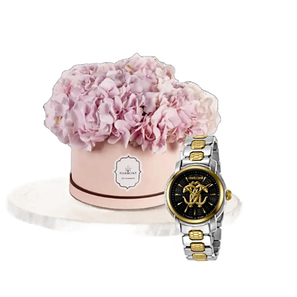 -Luxury watch gifts - 5