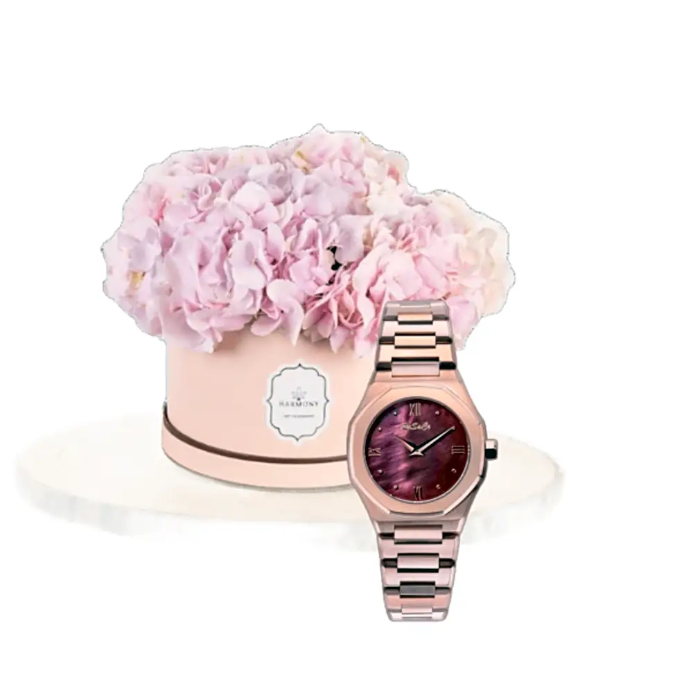 -Luxury watch gifts - 15