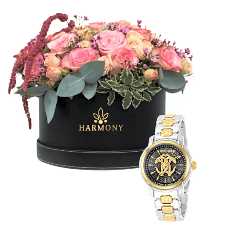 -Luxury watch gifts - 20