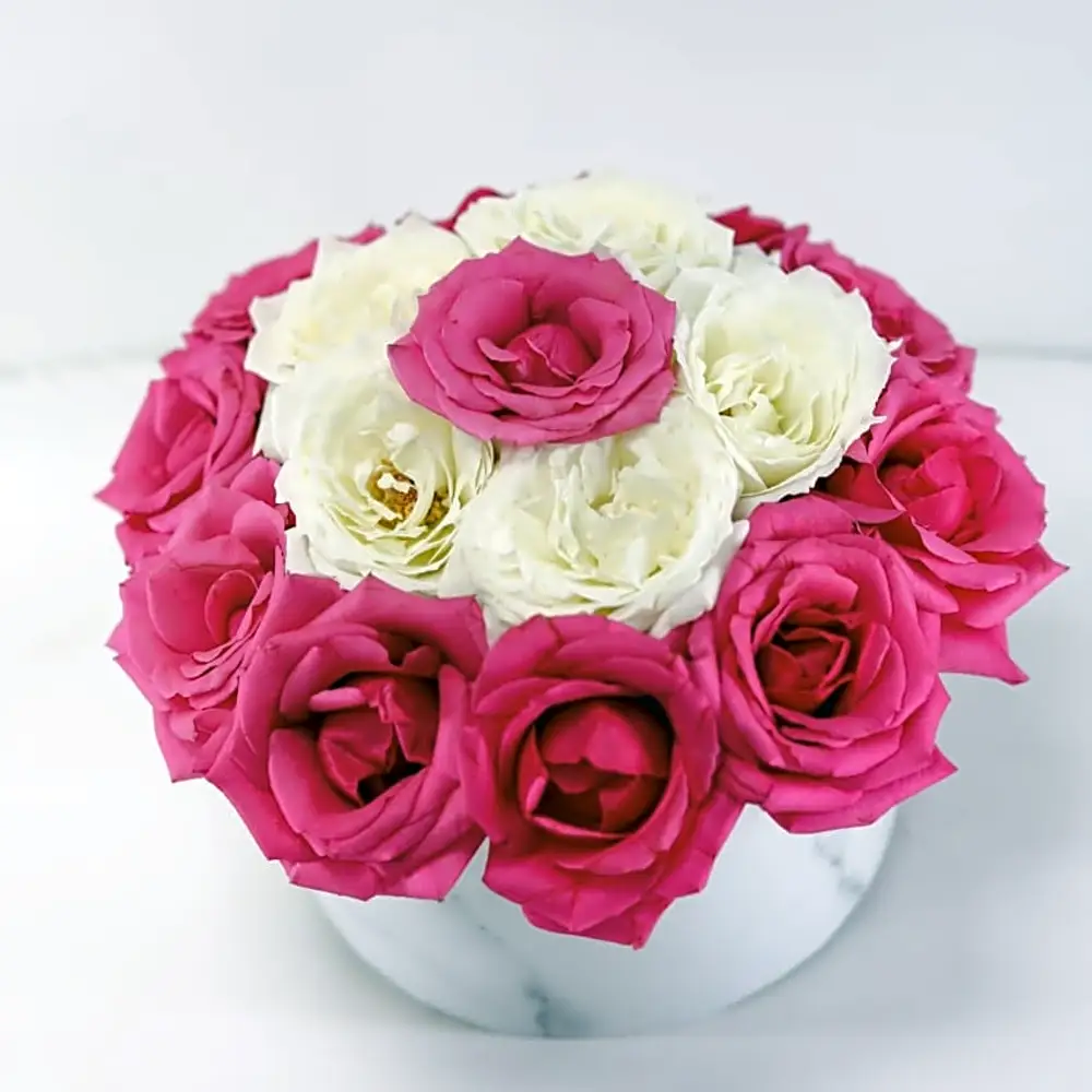 Flowers pink and white