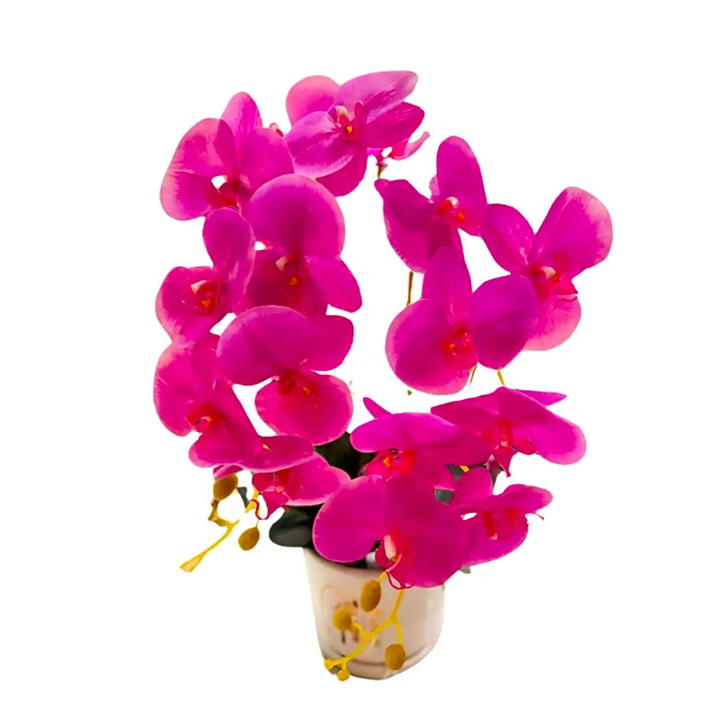 Orchid vase pink color