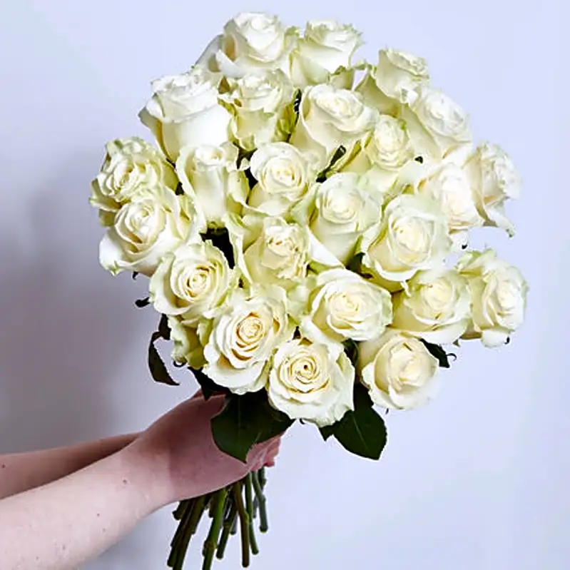 Dolce Eleganza : 12 rose bianche