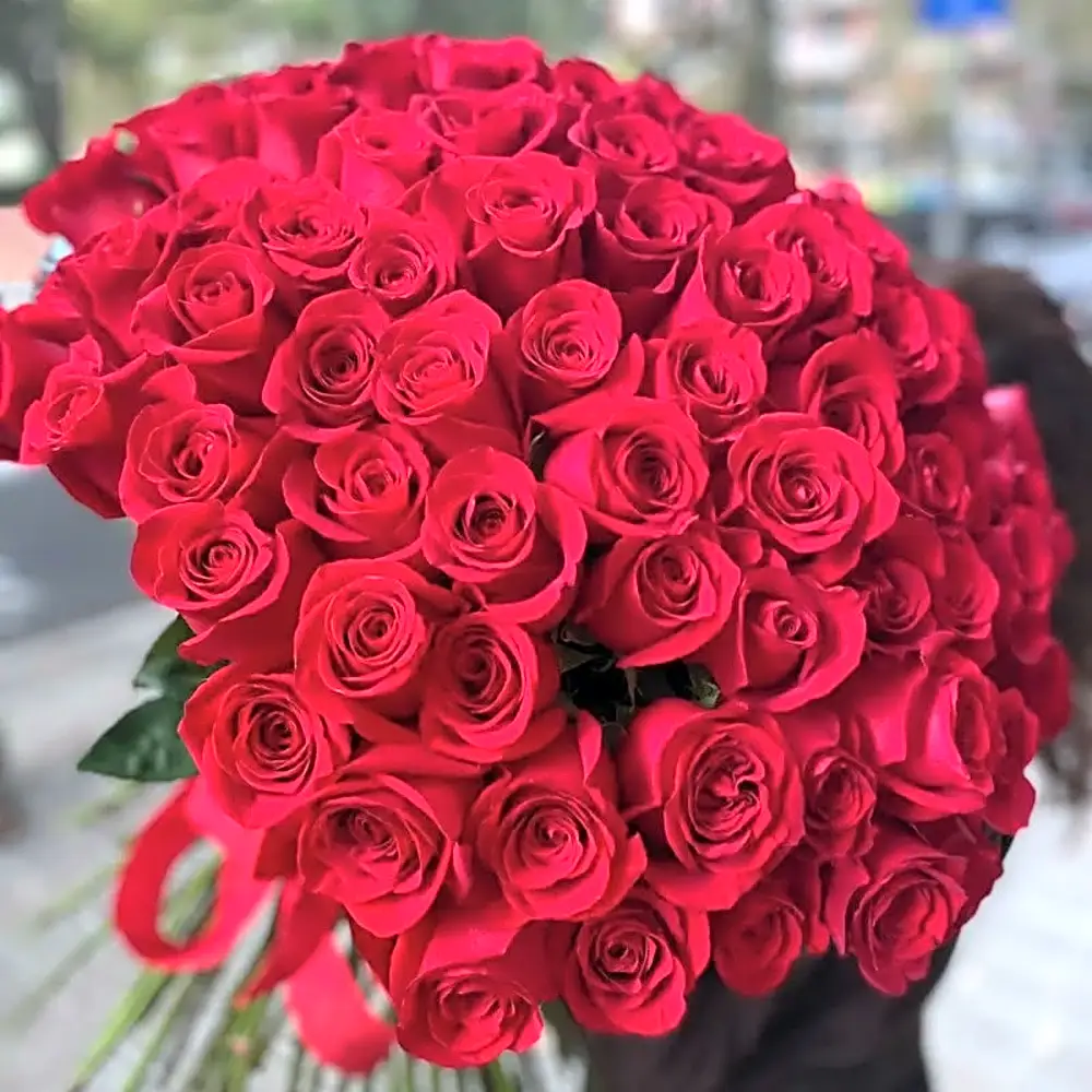 Rosso Cuore : 144 rose rosse
