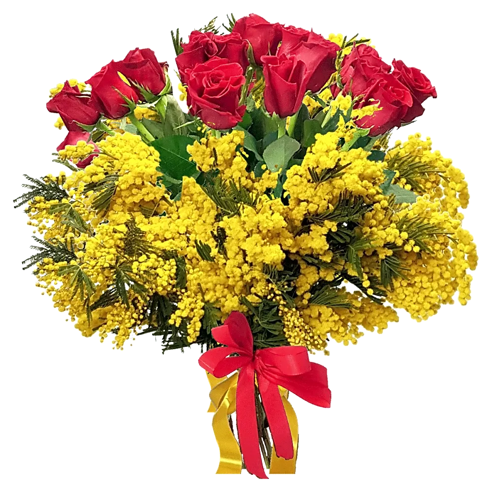 Mimosa : BD Fiorista| Milano