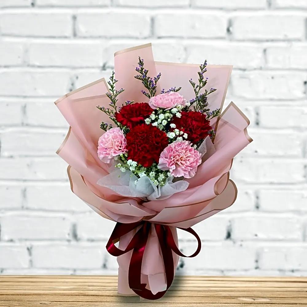 HC1013 Mixed Carnation Hand Bouquet
