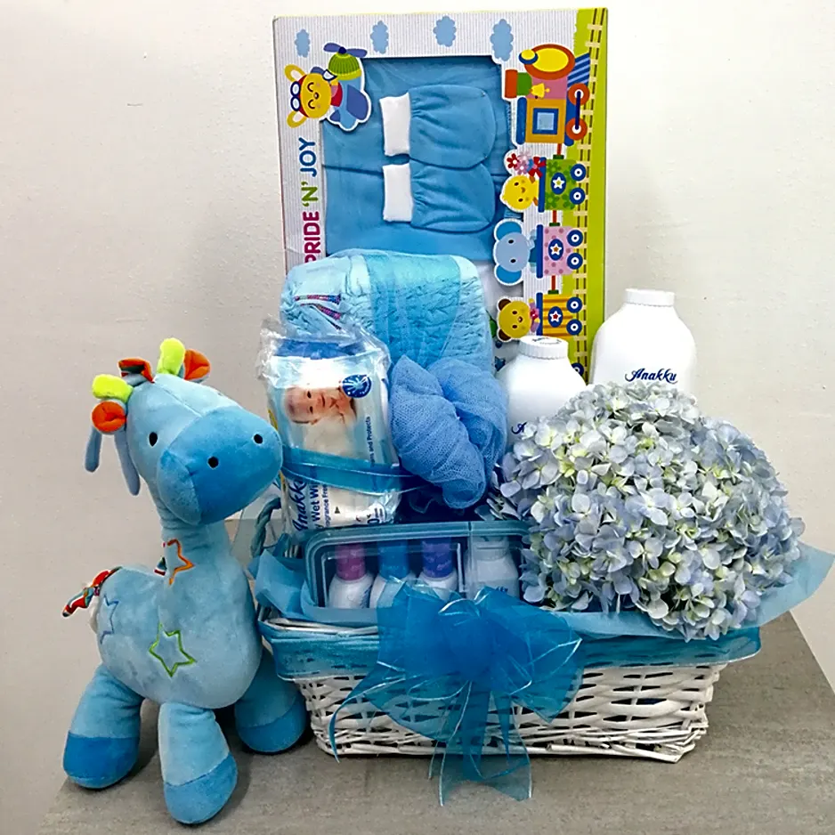 NB3002 New Born Hamper Arrangement