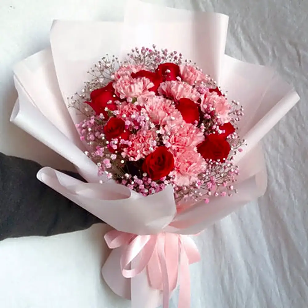 HC1005 Carnation Roses Hand Bouquet